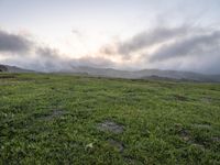 California Dawn: A Mountain Road Through the Landscape