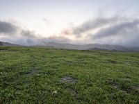 California Dawn: A Mountain Road Through the Landscape