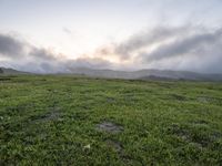 California Dawn: A Mountain Road Through the Landscape