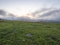 California Dawn: A Mountain Road Through the Landscape