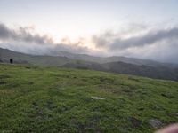 California Dawn: A Mountain Road Through the Landscape