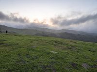 California Dawn: A Mountain Road Through the Landscape