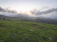 California Dawn: A Mountain Road Through the Landscape