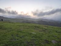 California Dawn: A Mountain Road Through the Landscape