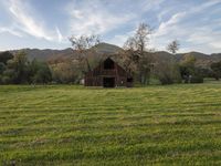 a barn in grassy area with mountains in the background on a sunny day in california