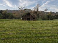 a barn in grassy area with mountains in the background on a sunny day in california