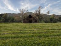 a barn in grassy area with mountains in the background on a sunny day in california