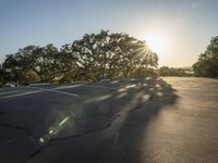 California Dawn: Landscape in an Open Space