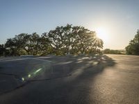 California Dawn: Landscape in an Open Space