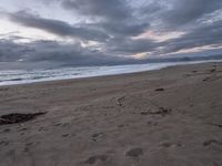 a bird lays in the sand at the beach under a cloudy sky with waves coming in