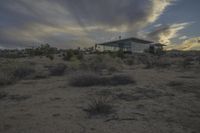 California at Dawn: A National Park Mountain View