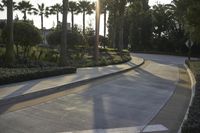 the sun shines in the distance behind a road lined with palm trees and lawn
