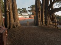 California Dawn: Road Under Clear Sky