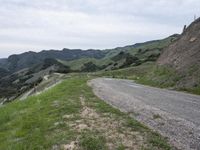 California Dawn: Road Through the Highlands