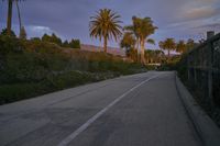 a road lined with palm trees leading to houses with pink and blue skies above the hills