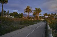 a road lined with palm trees leading to houses with pink and blue skies above the hills