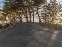 California Dawn: A Straight Road Through Suburban Houses