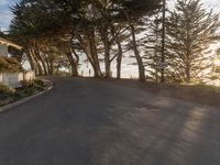 California Dawn: A Straight Road Through Suburban Houses