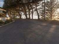 California Dawn: A Straight Road Through Suburban Houses