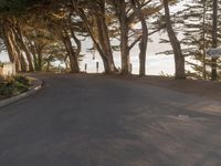 California Dawn: A Straight Road Through Suburban Houses