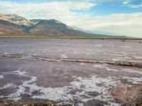 a dead tree in the middle of a muddy lake with mountains in the distance while the water levels are low