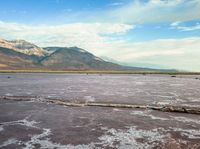 a dead tree in the middle of a muddy lake with mountains in the distance while the water levels are low