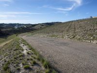 California Day: Mountains and Landscape