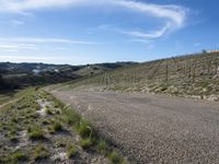 California Day: Mountains and Landscape