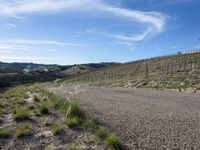 California Day: Mountains and Landscape