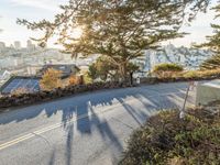 California Day: Nature View Overlooking San Francisco