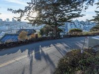 California Day: Nature View Overlooking San Francisco