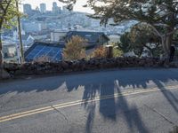 California Day: Nature View Overlooking San Francisco