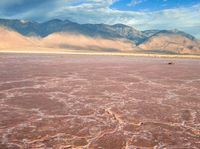 two sheep standing in a pink lake under a cloudy sky with mountains behind them by itself