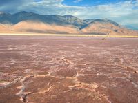 two sheep standing in a pink lake under a cloudy sky with mountains behind them by itself