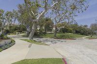 California Day: Residential Area with Lush Lawn and Trees