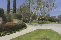 California Day: Residential Area with Lush Lawn and Trees