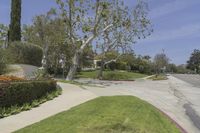 California Day: Residential Area with Lush Lawn and Trees