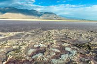 the dry and colorful ground in a desert plain area is mostly barren, and has very little vegetation