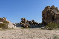 California Daytime: Exploring the Desert Landscape