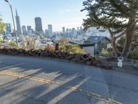 California Daytime Overlook View