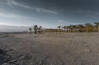 a sandy area with palm trees and desert land in the distance, with mountains in the background