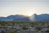 California Desert at Dawn