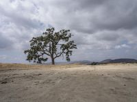 California Desert: A Daytime Landscape