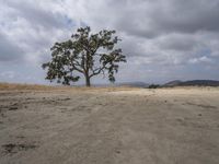 California Desert: A Daytime Landscape