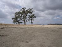 California Desert: A Daytime Landscape