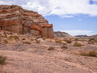 a horse is standing in the desert near some cliffs and trees - - it has lots of tall brown rocks