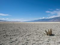 California Desert Landscape with Mountains and Open Space