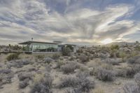 California Desert Landscape: Road at Dawn