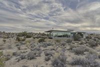 California Desert Landscape: Road at Dawn