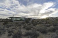 California Desert Landscape: Road at Dawn